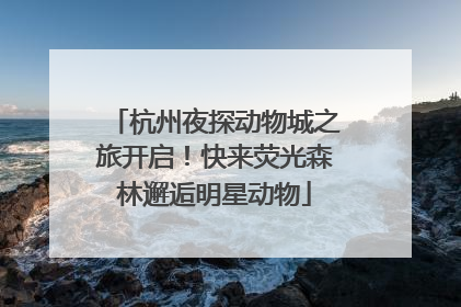 杭州夜探动物城之旅开启！快来荧光森林邂逅明星动物