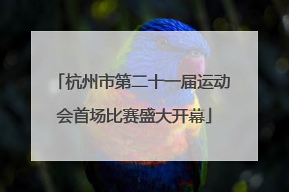 杭州市第二十一届运动会首场比赛盛大开幕
