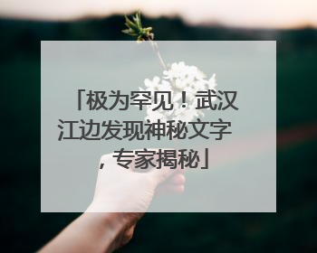 极为罕见！武汉江边发现神秘文字，专家揭秘