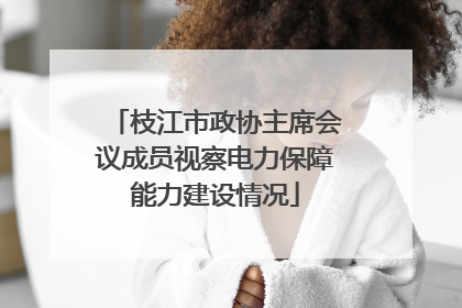 枝江市政协主席会议成员视察电力保障能力建设情况