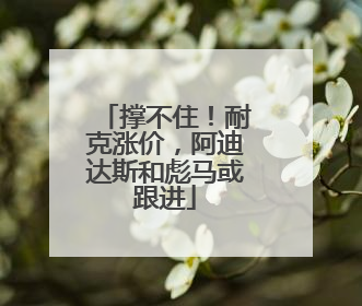 撑不住！耐克涨价，阿迪达斯和彪马或跟进