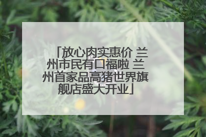 放心肉实惠价 兰州市民有口福啦 兰州首家品高猪世界旗舰店盛大开业