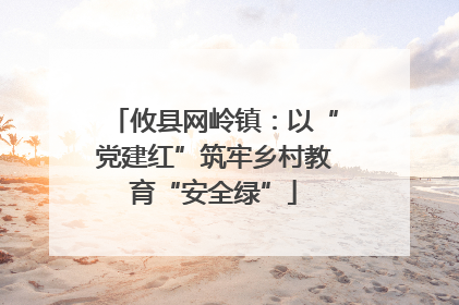 攸县网岭镇：以“党建红”筑牢乡村教育“安全绿”