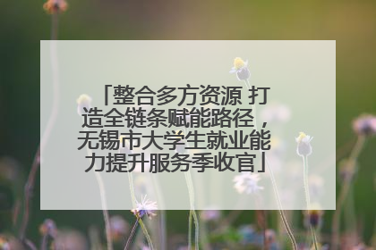 整合多方资源 打造全链条赋能路径，无锡市大学生就业能力提升服务季收官