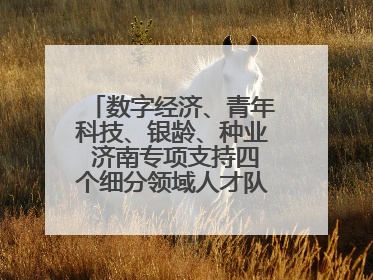 数字经济、青年科技、银龄、种业 济南专项支持四个细分领域人才队伍建设