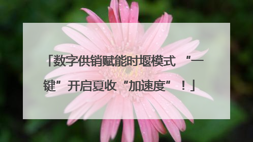 数字供销赋能时堰模式 “一键”开启夏收“加速度”！