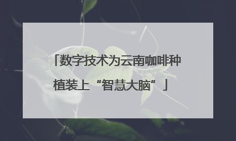 数字技术为云南咖啡种植装上“智慧大脑”