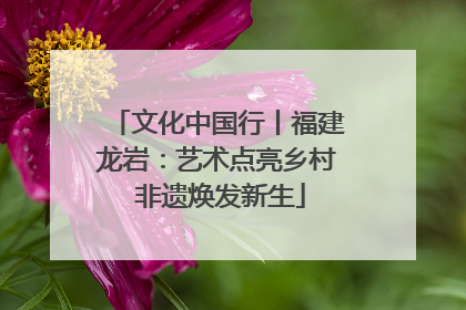 文化中国行丨福建龙岩：艺术点亮乡村 非遗焕发新生