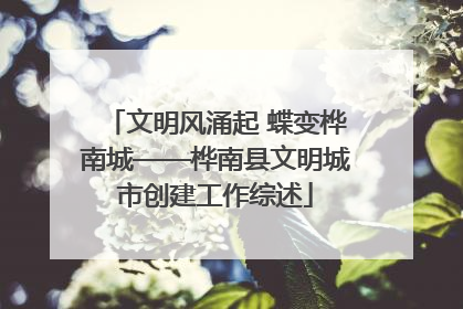 文明风涌起 蝶变桦南城——桦南县文明城市创建工作综述