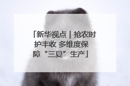 新华视点｜抢农时 护丰收 多维度保障“三夏”生产
