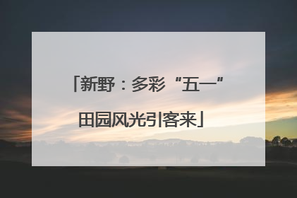 新野：多彩“五一” 田园风光引客来