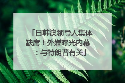 日韩澳领导人集体缺席！外媒曝光内幕：与特朗普有关