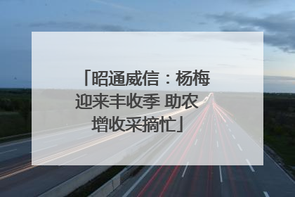 昭通威信：杨梅迎来丰收季 助农增收采摘忙