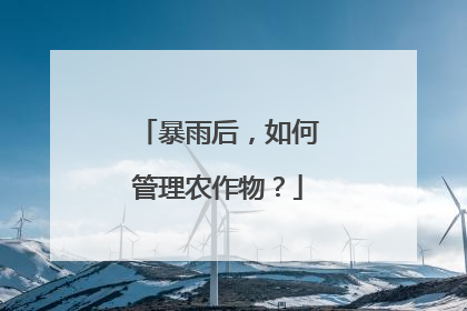 暴雨后，如何管理农作物？