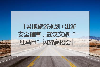 暑期旅游规划+出游安全指南，武汉文旅“红马甲”闪耀高招会