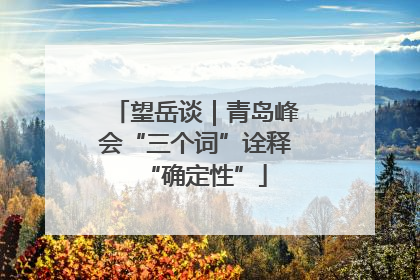 望岳谈｜青岛峰会“三个词”诠释“确定性”