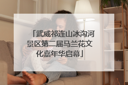 武威祁连山冰沟河景区第二届马兰花文化嘉年华启幕