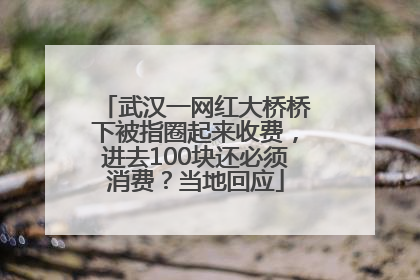 武汉一网红大桥桥下被指圈起来收费，进去100块还必须消费？当地回应