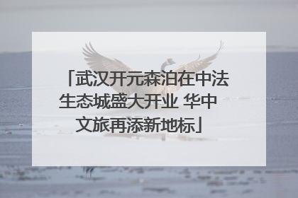 武汉开元森泊在中法生态城盛大开业 华中文旅再添新地标