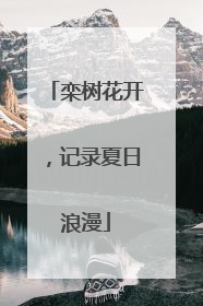 栾树花开，记录夏日浪漫