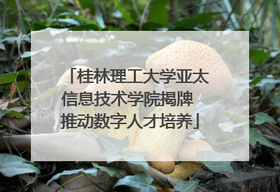 桂林理工大学亚太信息技术学院揭牌 推动数字人才培养