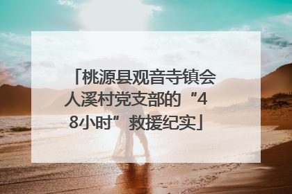 桃源县观音寺镇会人溪村党支部的“48小时”救援纪实