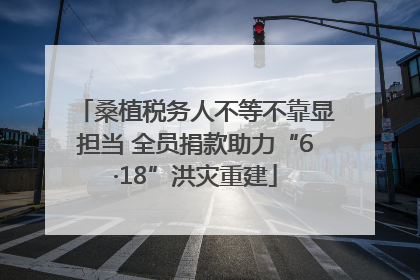 桑植税务人不等不靠显担当 全员捐款助力“6·18”洪灾重建