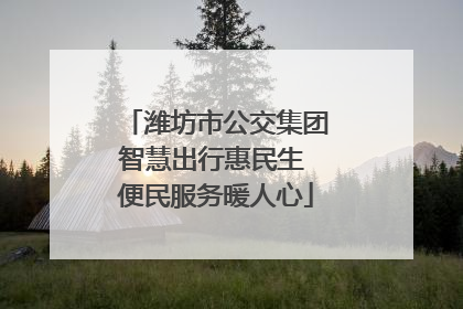 潍坊市公交集团智慧出行惠民生 便民服务暖人心