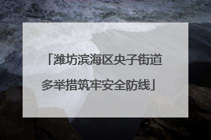潍坊滨海区央子街道多举措筑牢安全防线