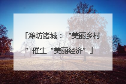潍坊诸城：“美丽乡村”催生“美丽经济”