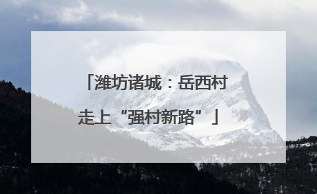 潍坊诸城：岳西村走上“强村新路”
