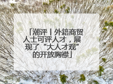 潮评丨外籍商贸人士可评人才，展现了“大人才观”的开放胸襟