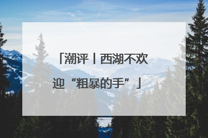 潮评丨西湖不欢迎“粗暴的手”