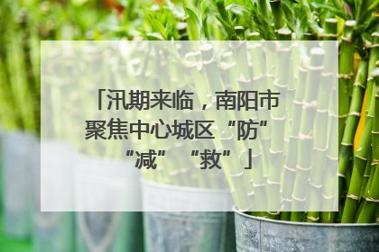 汛期来临，南阳市聚焦中心城区“防”“减”“救”