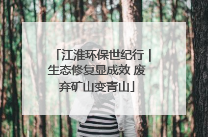 江淮环保世纪行｜生态修复显成效 废弃矿山变青山