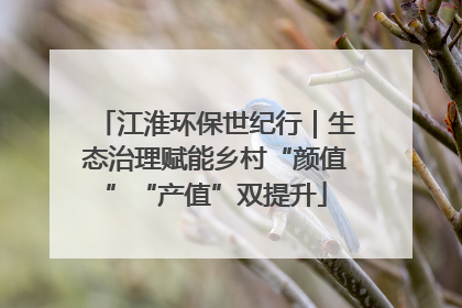 江淮环保世纪行｜生态治理赋能乡村“颜值”“产值”双提升