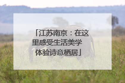 江苏南京：在这里感受生活美学 体验诗意栖居