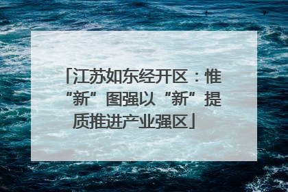 江苏如东经开区：惟“新”图强以“新”提质推进产业强区