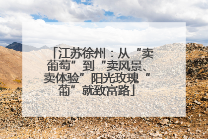 江苏徐州：从“卖葡萄”到“卖风景、卖体验”阳光玫瑰“葡”就致富路