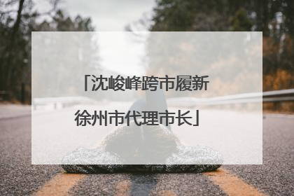 沈峻峰跨市履新徐州市代理市长