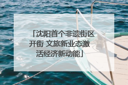 沈阳首个非遗街区开街 文旅新业态激活经济新动能