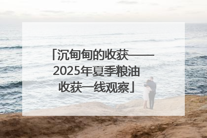 沉甸甸的收获——2025年夏季粮油收获一线观察