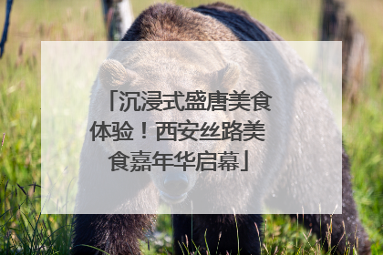 沉浸式盛唐美食体验！西安丝路美食嘉年华启幕