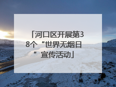 河口区开展第38个“世界无烟日”宣传活动