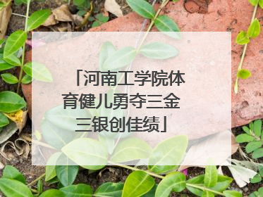 河南工学院体育健儿勇夺三金三银创佳绩
