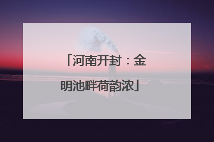 河南开封：金明池畔荷韵浓