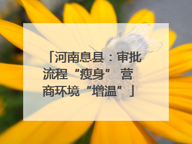 河南息县：审批流程“瘦身” 营商环境“增温”