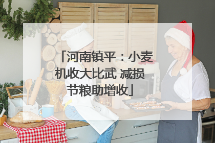 河南镇平：小麦机收大比武 减损节粮助增收