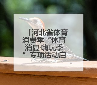 河北省体育消费季“体育消夏·嗨玩季”专项活动启动