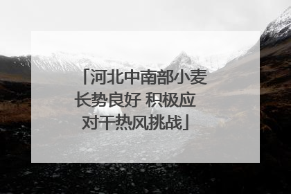 河北中南部小麦长势良好 积极应对干热风挑战